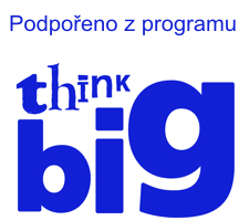 Think Big